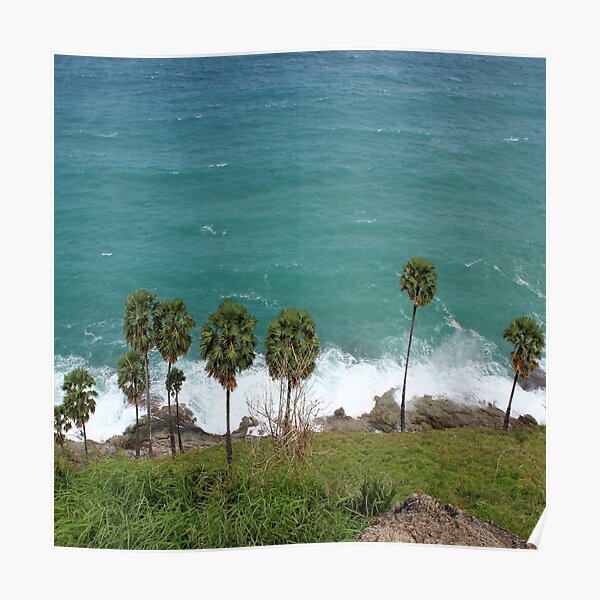 Palm Trees at the Beach Poster