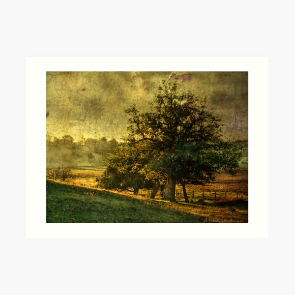 Afterglow Art Print