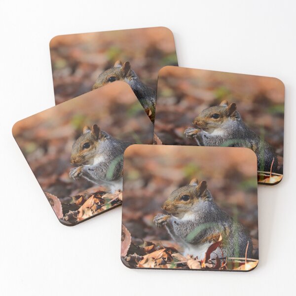 Item preview, Little Squirrel  designed and sold by Parks and X.