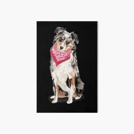 Australian Shepherd Art Board Print