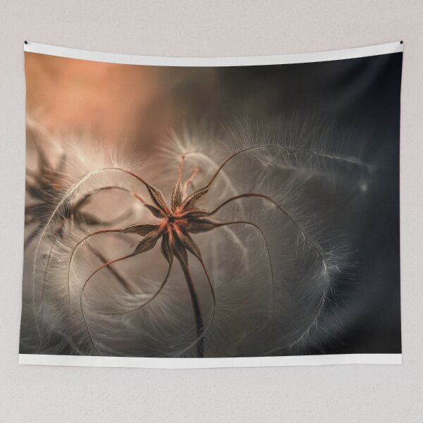 Item preview, Clematis virginiana (Virgin's Bower) designed and sold by andreisky.