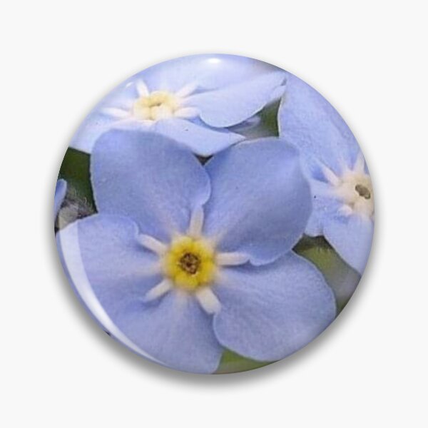 Item preview, Forget-me-not  designed and sold by GigiG123.