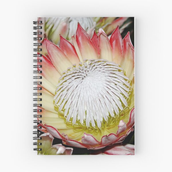 Item preview, Protea designed and sold by AnnDixon.
