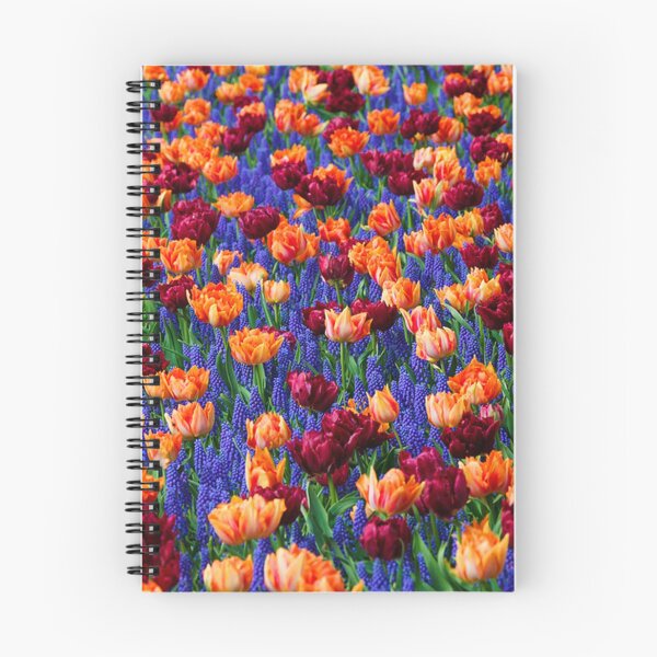 Item preview, Field of double tulips with grape hyacinths. designed and sold by claireseyeview.
