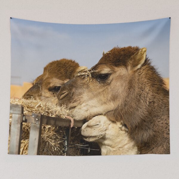 Item preview, Hungry Camels designed and sold by Marylou Badeaux.