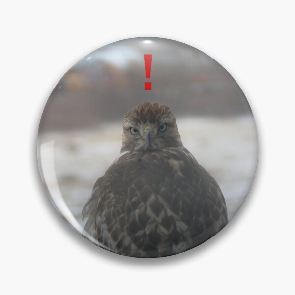 Item preview, Startled Hawk designed and sold by B-Wasik-NMC.