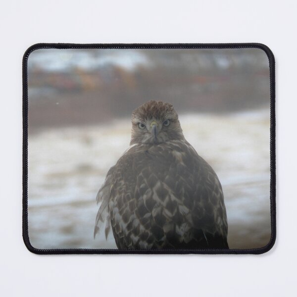 Item preview, Startled Hawk designed and sold by B-Wasik-NMC.
