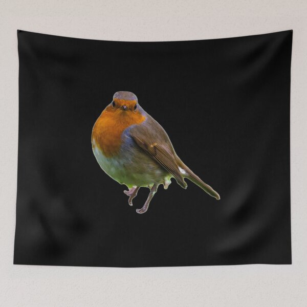 Item preview, Mr Robin designed and sold by Zenvo.