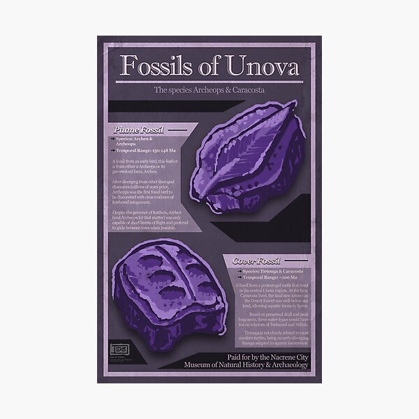 Artikel-Vorschau von Fossilien von Unova, designt und verkauft von Daniel Swain Creations.