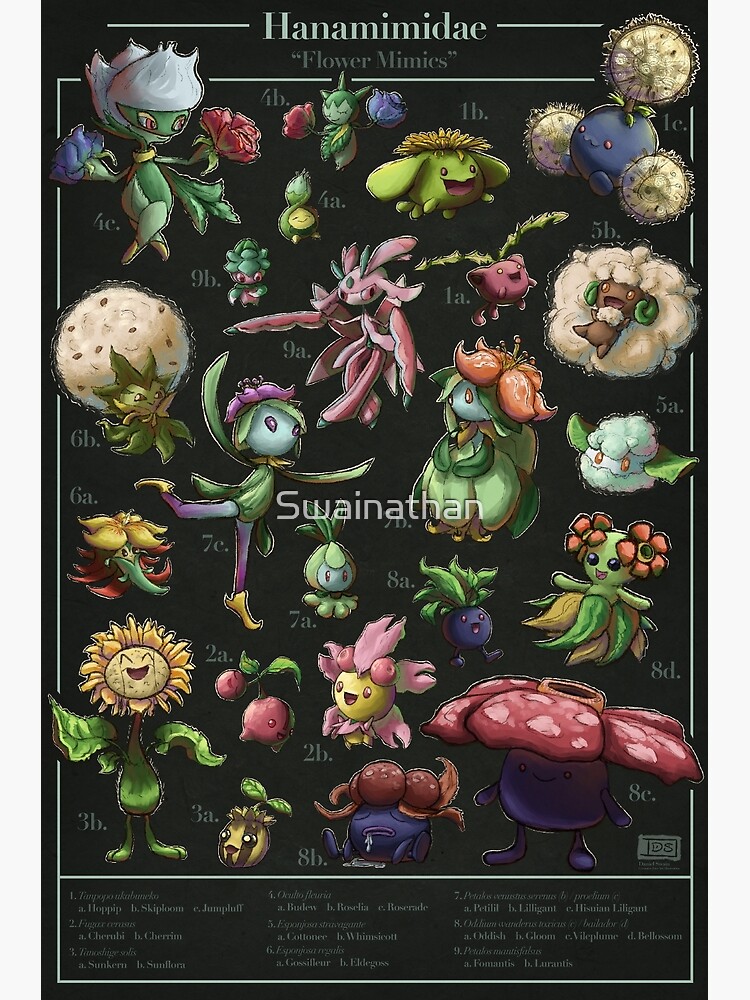 Thumbnail 3 of 3, Art Print, Hanamimidae Biological Illustration designed and sold by Swainathan.