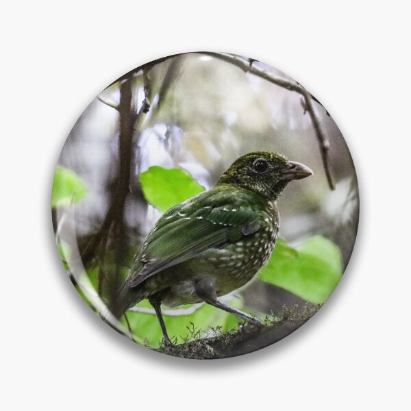 Item preview, Green Catbird designed and sold by Mathew Reed.