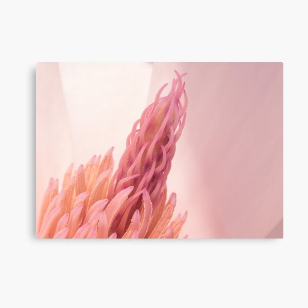 Lifelike Metal Print