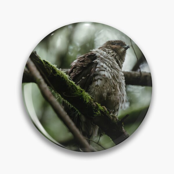 Item preview, Fluffy hawk designed and sold by millivedder.