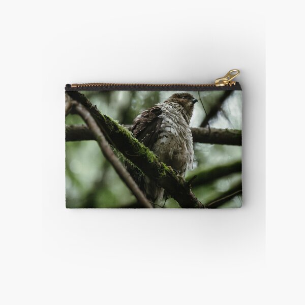 Item preview, Fluffy hawk designed and sold by millivedder.