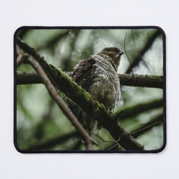 Item preview, Fluffy hawk designed and sold by millivedder.