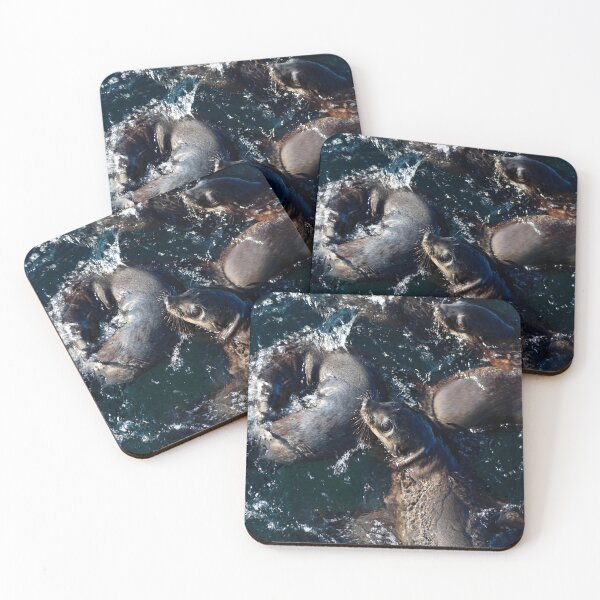 Item preview, Australian Fur Seals, Phillip Island designed and sold by Mathew Reed.
