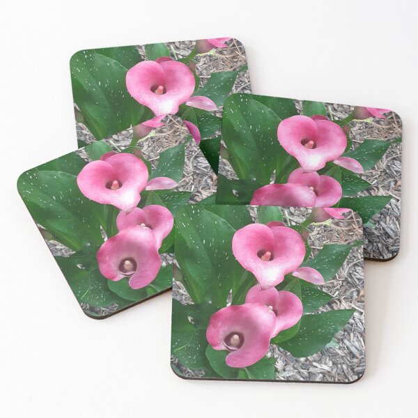 Item preview, Pink Calla Lily designed and sold by VelvetLunaMoth.