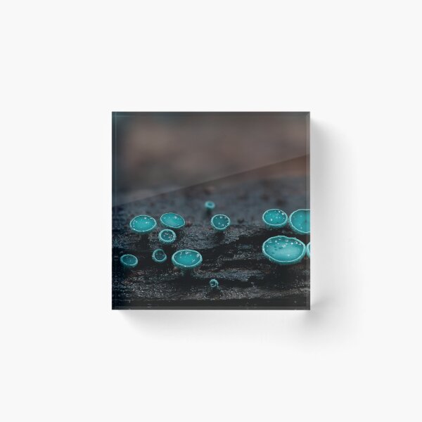 Item preview, Blue elf cups designed and sold by millivedder.