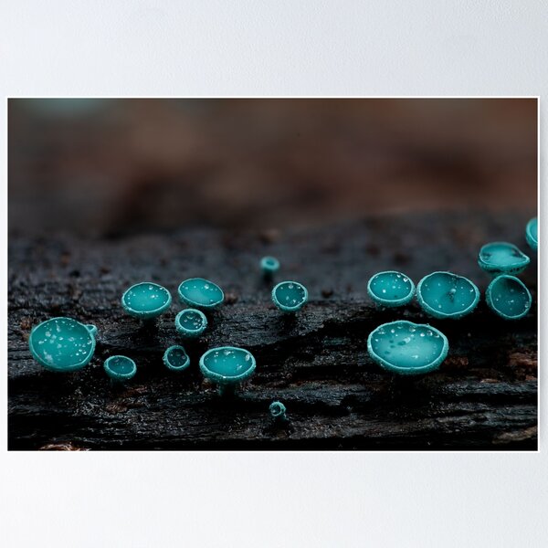 Item preview, Blue elf cups designed and sold by millivedder.