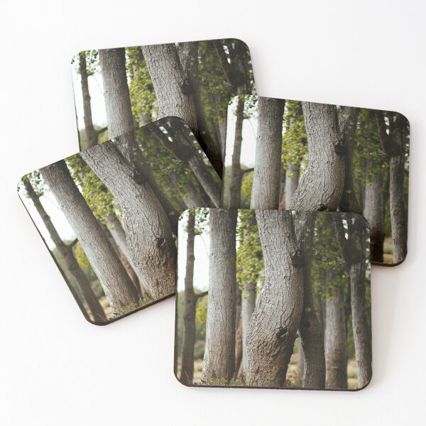 Item preview, Quaking aspen i designed and sold by millivedder.