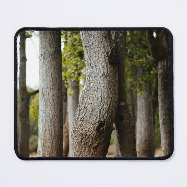 Item preview, Quaking aspen i designed and sold by millivedder.