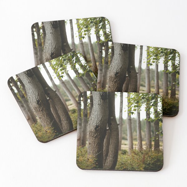 Item preview, Quaking aspen, ii designed and sold by millivedder.