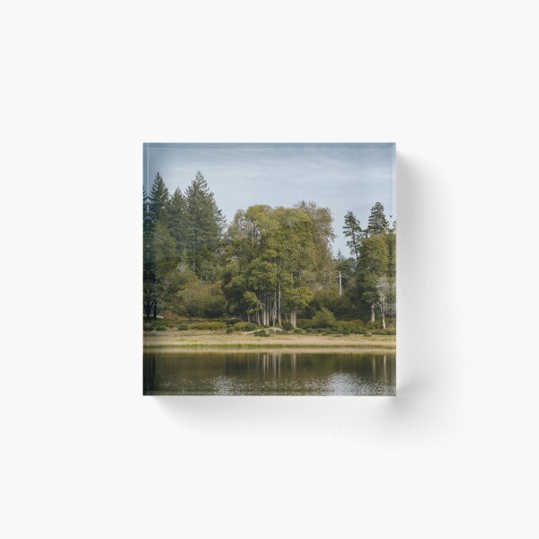 Item preview, Aspen pond designed and sold by millivedder.