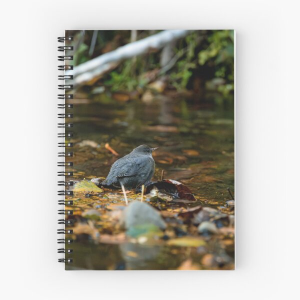 Item preview, American dipper designed and sold by millivedder.