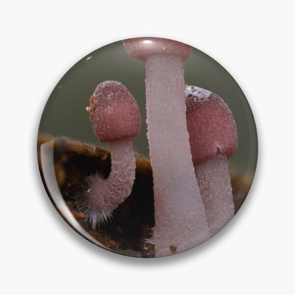 Item preview, Pink bonnets designed and sold by millivedder.