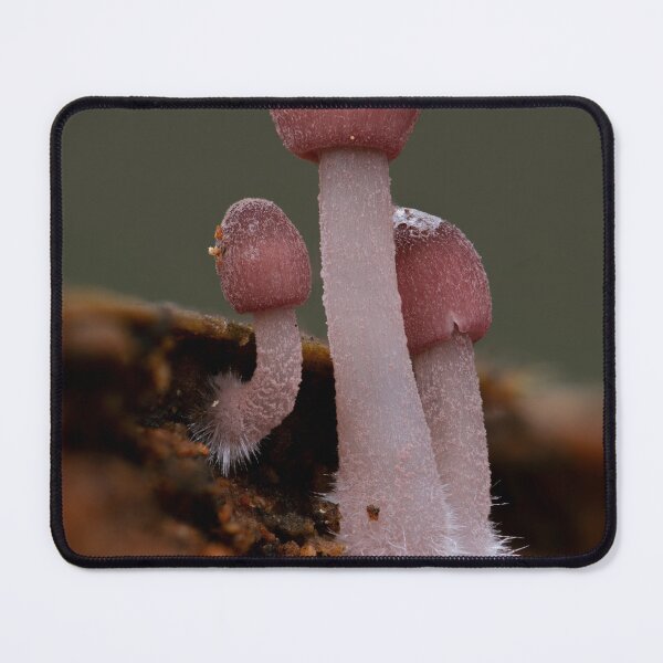 Item preview, Pink bonnets designed and sold by millivedder.