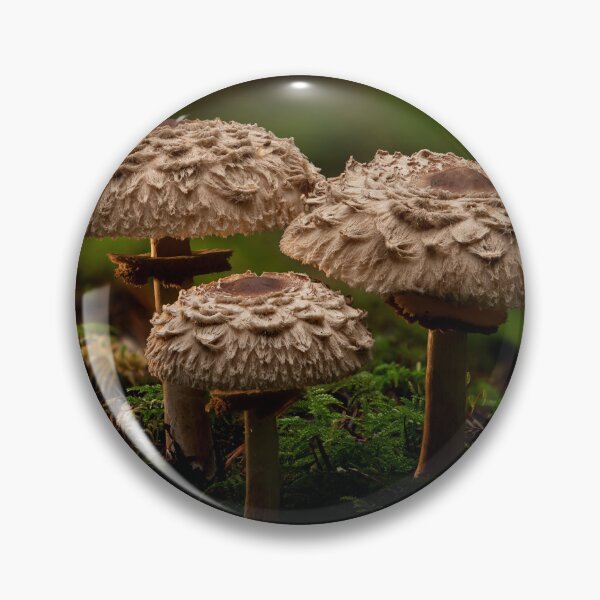 Item preview, Parasols designed and sold by millivedder.