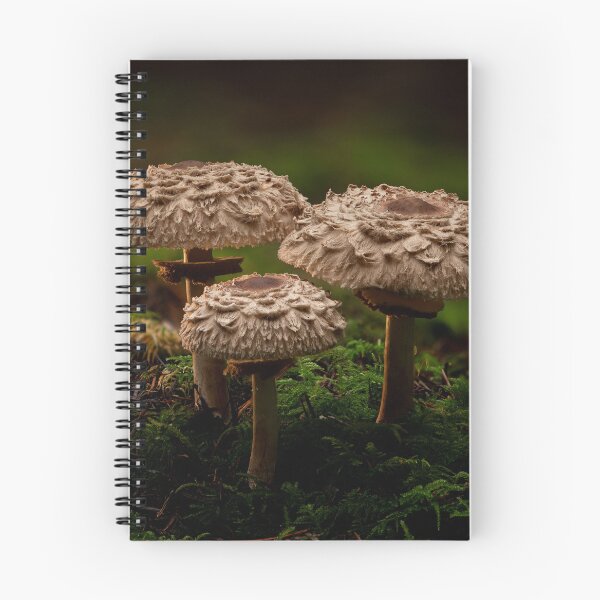 Item preview, Parasols designed and sold by millivedder.
