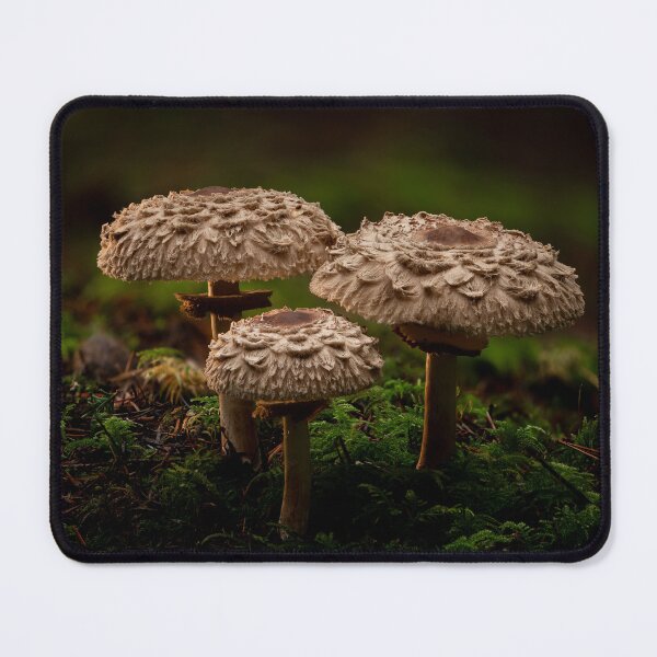 Item preview, Parasols designed and sold by millivedder.
