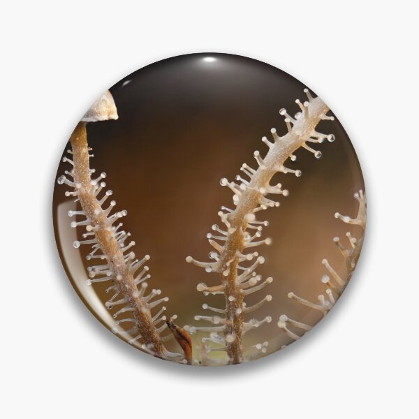 Item preview, Branched shanklet designed and sold by millivedder.
