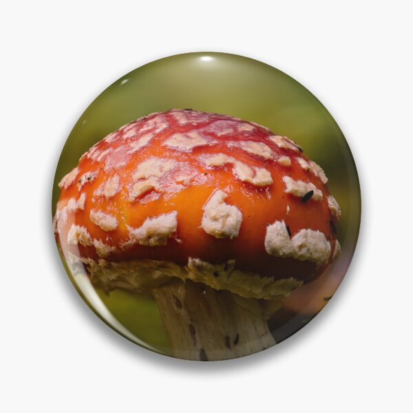 Item preview, Fly agaric designed and sold by millivedder.