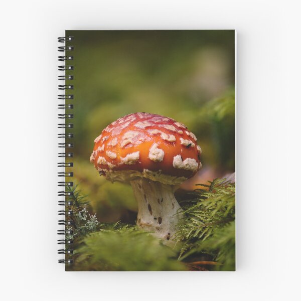Item preview, Fly agaric designed and sold by millivedder.
