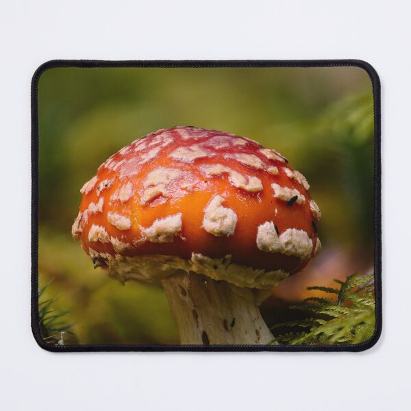 Item preview, Fly agaric designed and sold by millivedder.