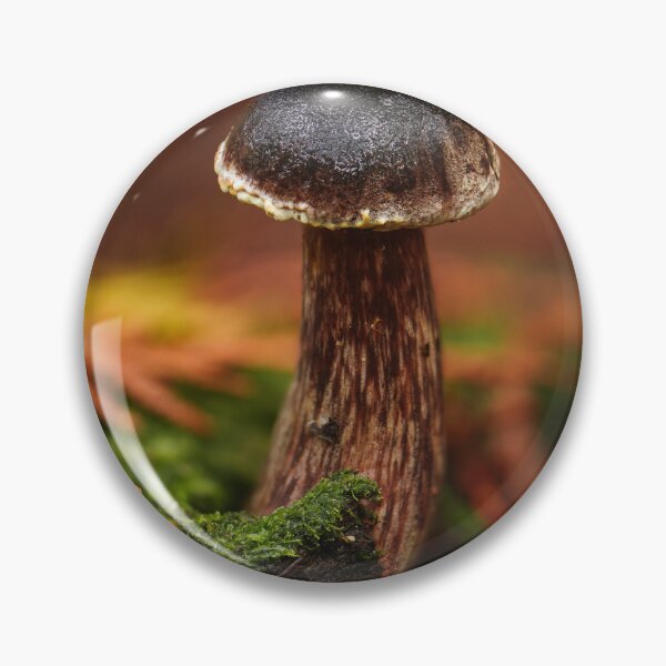 Item preview, Admirable bolete designed and sold by millivedder.