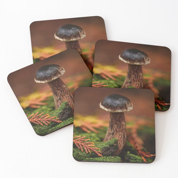 Item preview, Admirable bolete designed and sold by millivedder.