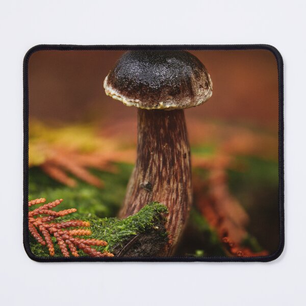 Item preview, Admirable bolete designed and sold by millivedder.