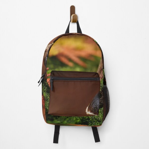 Item preview, Admirable bolete designed and sold by millivedder.