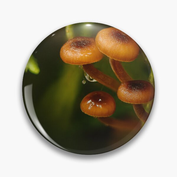 Item preview, Pinewood gingertails designed and sold by millivedder.