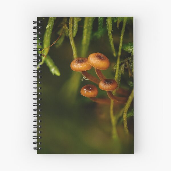 Item preview, Pinewood gingertails designed and sold by millivedder.