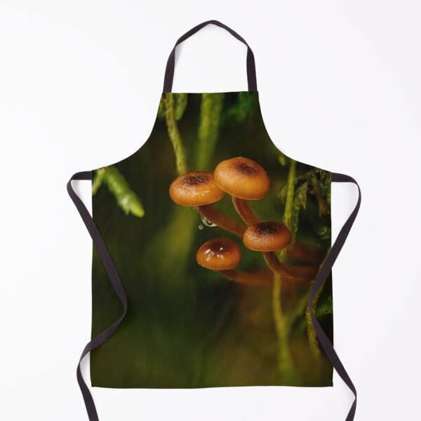 Item preview, Pinewood gingertails designed and sold by millivedder.