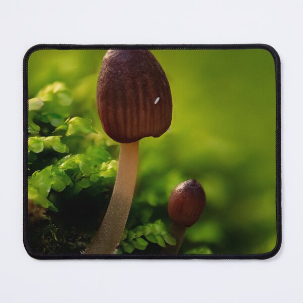 Item preview, Bonnets in moss designed and sold by millivedder.