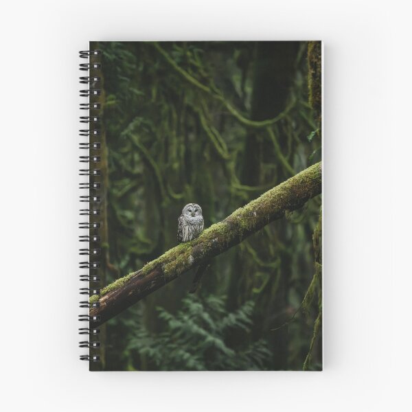 Item preview, Barred owl designed and sold by millivedder.