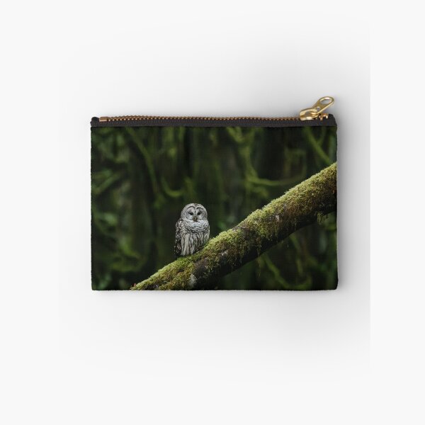 Item preview, Barred owl designed and sold by millivedder.
