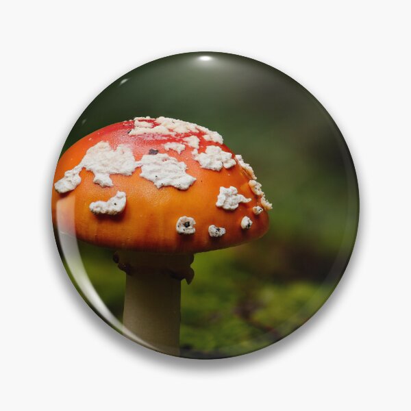 Item preview, Fly agaric designed and sold by millivedder.
