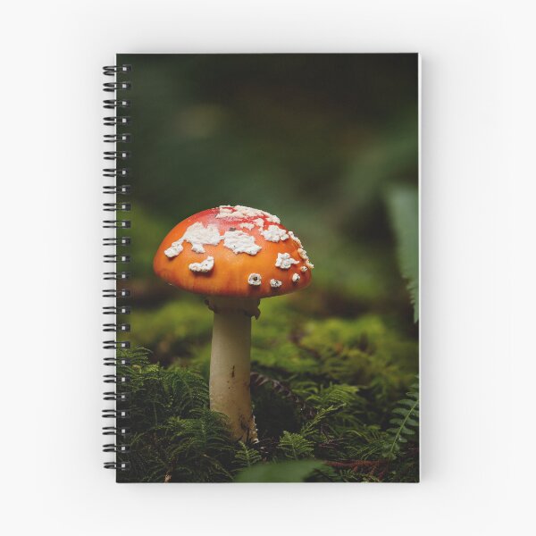 Item preview, Fly agaric designed and sold by millivedder.