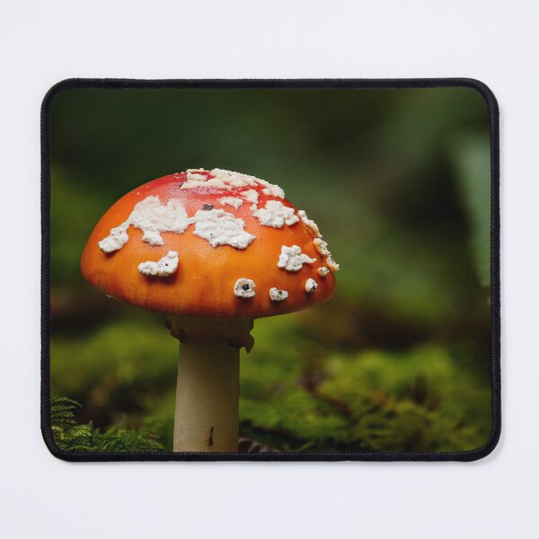 Item preview, Fly agaric designed and sold by millivedder.